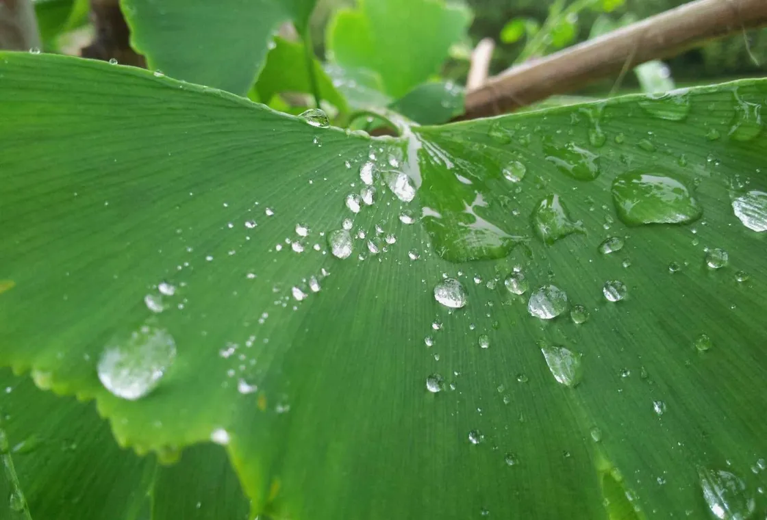 Buzo Jesús拍摄的独立影像,用于向新服务研究数字化协作专题的专题配图